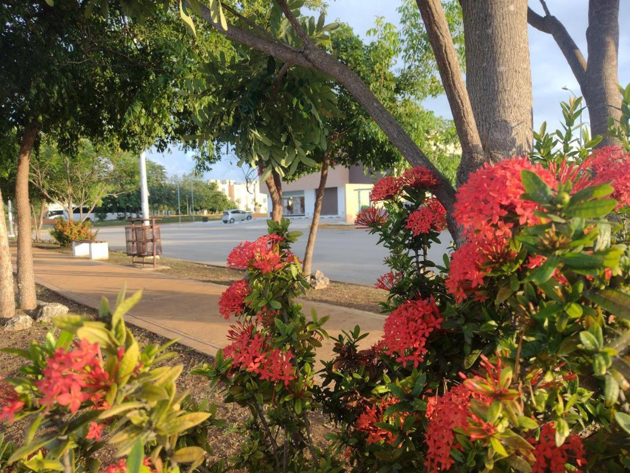 Saramuyah Home 坎昆 外观 照片